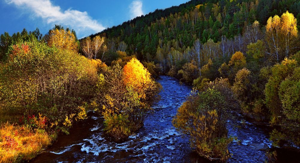 Яркая осень.
