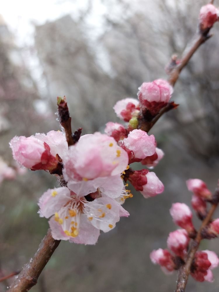 Photograph by Светлана