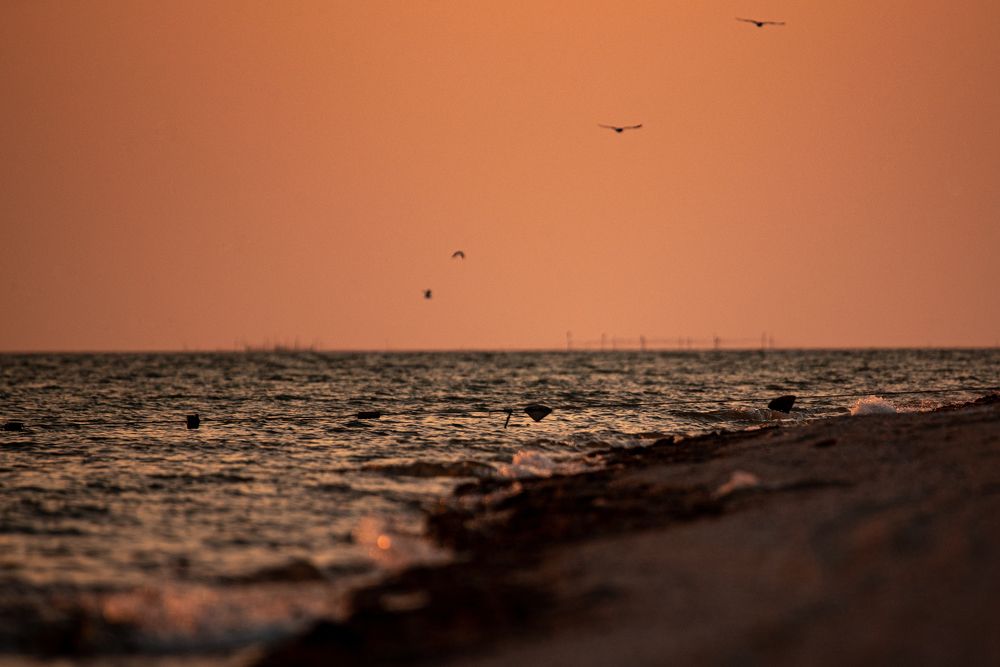 Photograph by наталья залогина