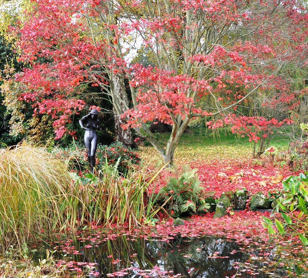 Фотография автора Igor Repishevski