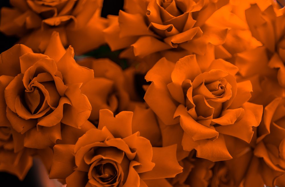 Photograph by Валерий Сарак