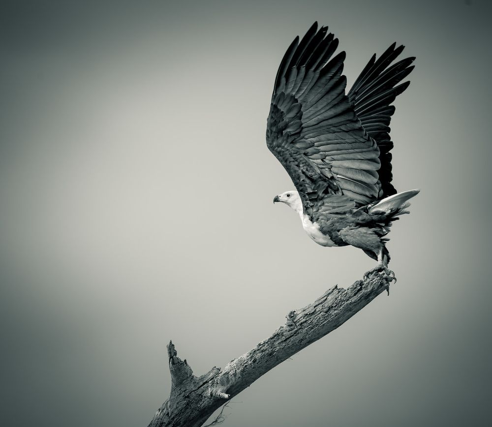 Photograph by Avani Dhanani