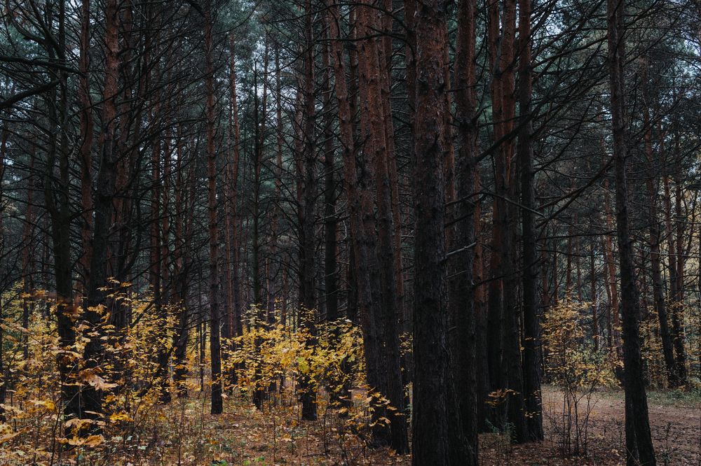 Photograph by Lisa Buzova