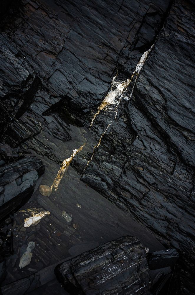 Photograph by Lisa Buzova