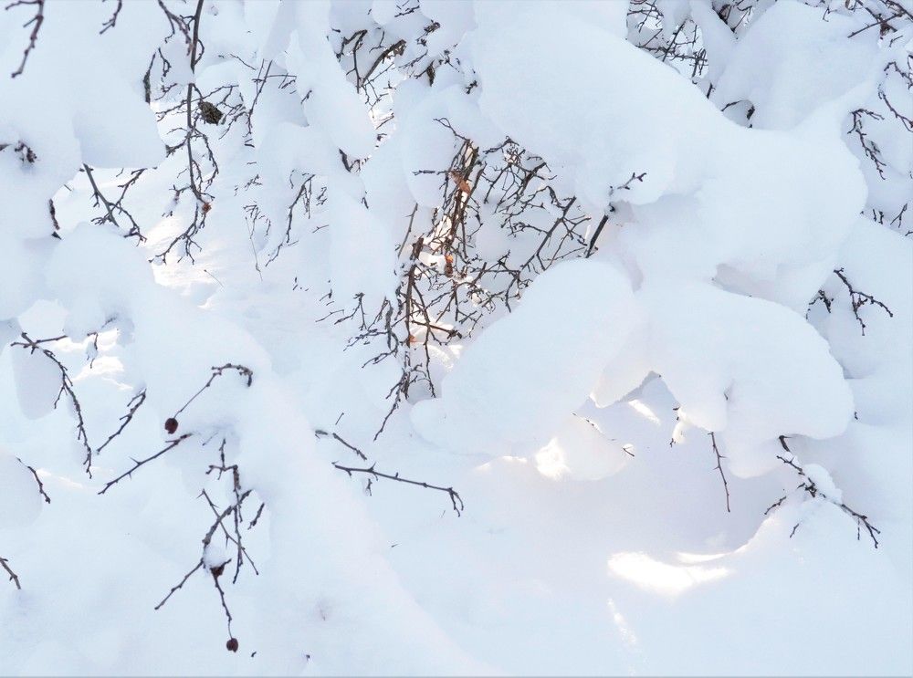 Photograph by Родосская Нонна