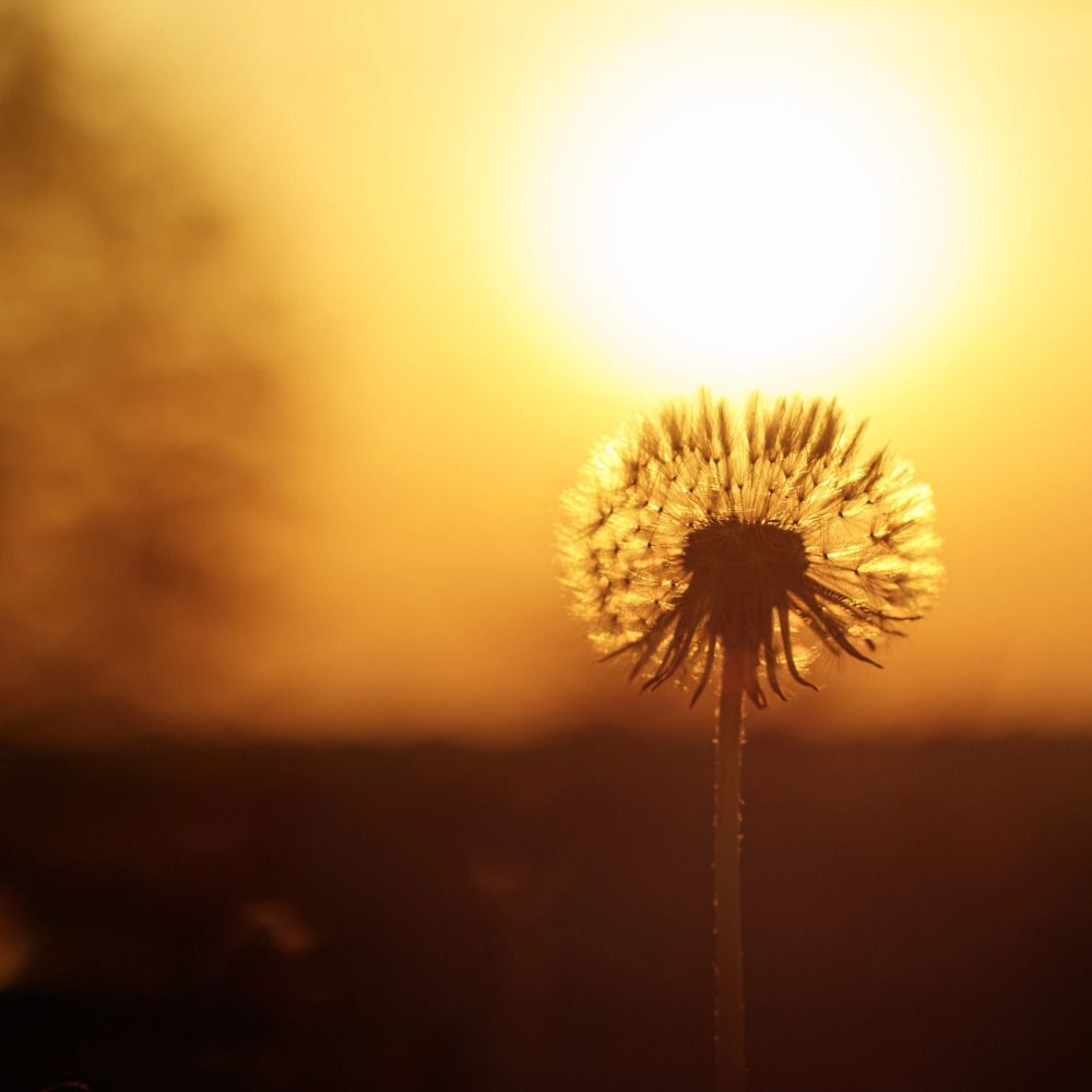 Photograph by Константин Панькин