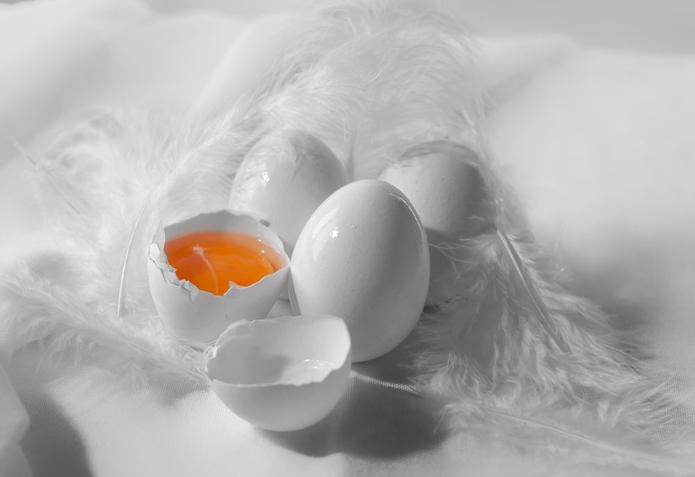 Photograph by Ирина Бабенкова