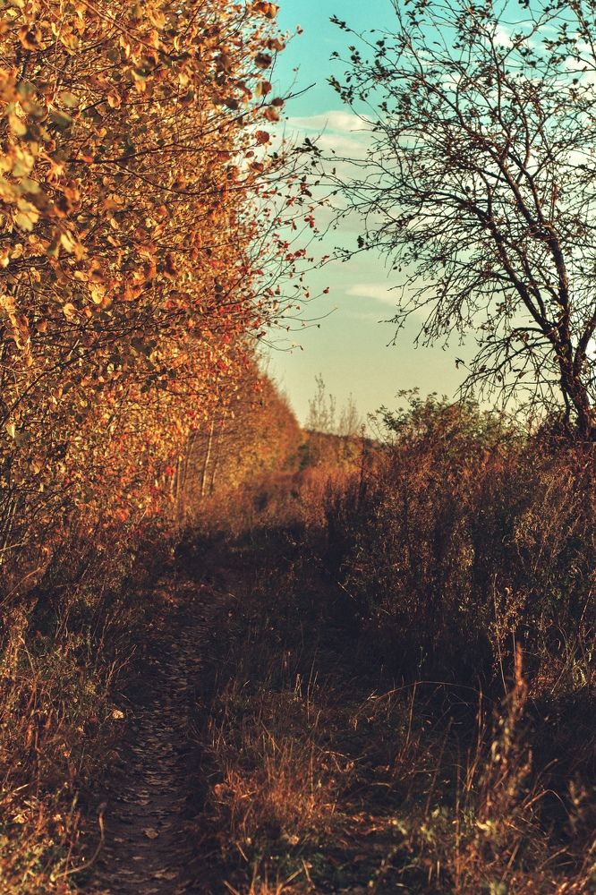 Photograph by Angelina Karelina