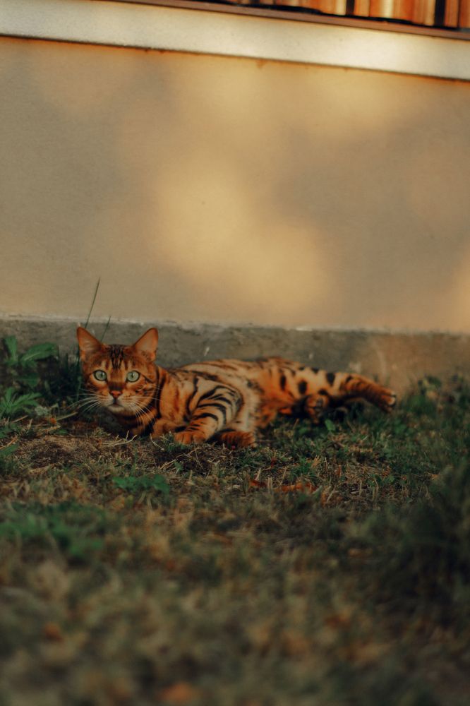 Photograph by Angelina Karelina