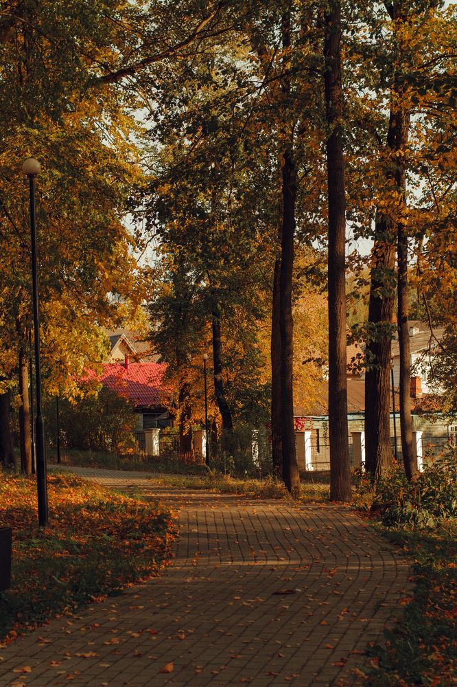 Photograph by Angelina Karelina