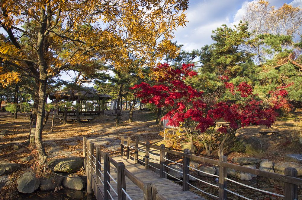 Photograph by Анвар Сейфуллин