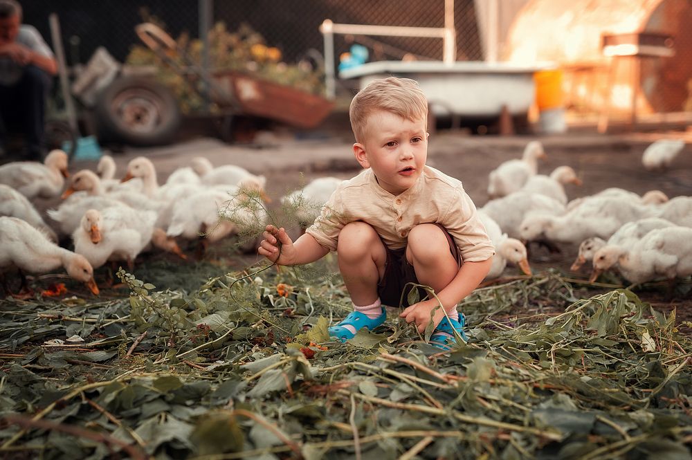 Photograph by Анна Никитина