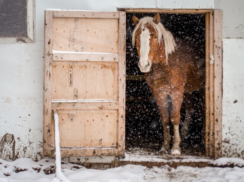 Photograph by Наталья Кокорина