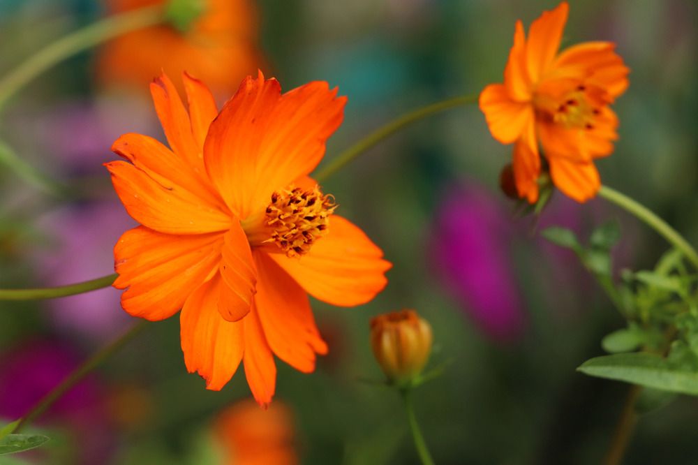 Photograph by Вероника Ерёмина