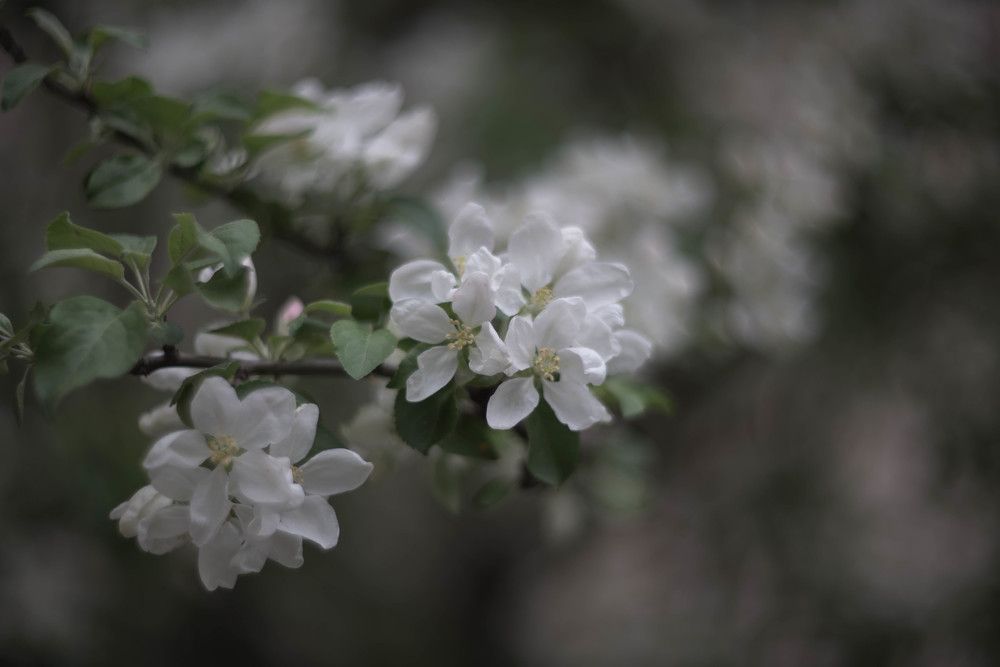 Photograph by Kirill Yakowlew