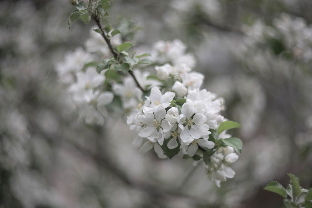 Photograph by Kirill Yakowlew