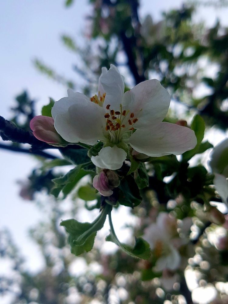 Photograph by Марина Козлова