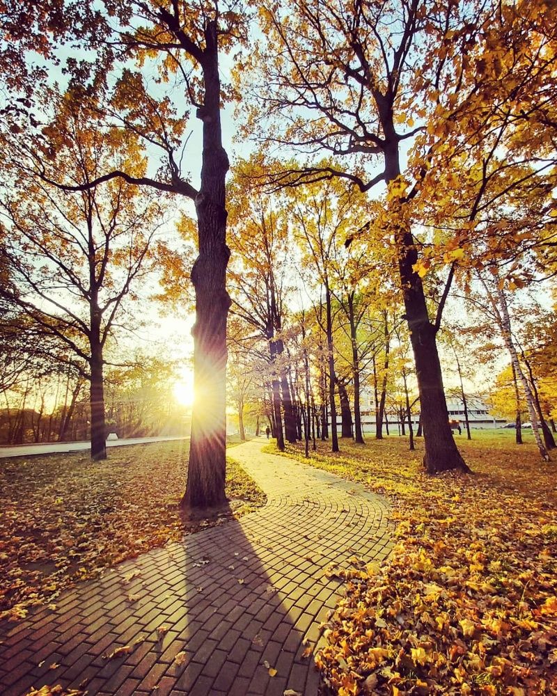 Photograph by Лебедев Олег