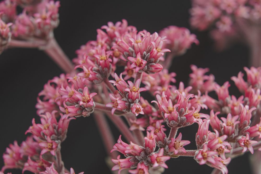 Photograph by Fábio Martins