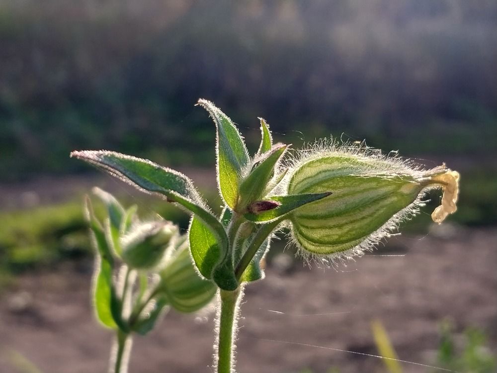 Photograph by Юлия Фирман