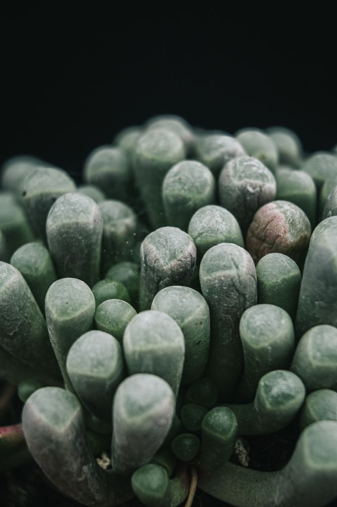 Photograph by Fábio Martins