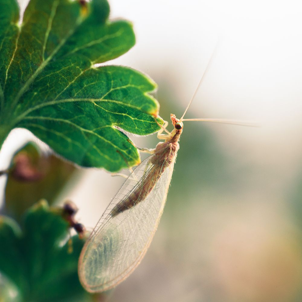 Photograph by Иван Колесенко