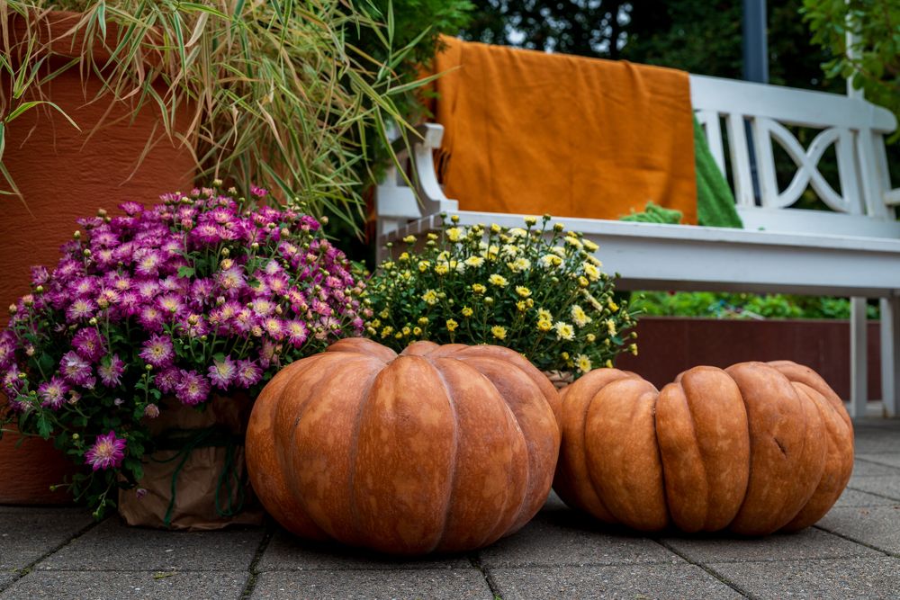 Фотография автора Дмитрий Referee