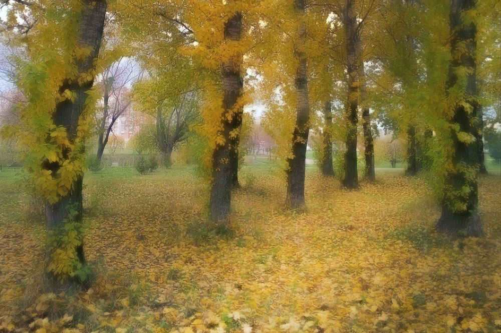 Photograph by Юлия Куликова