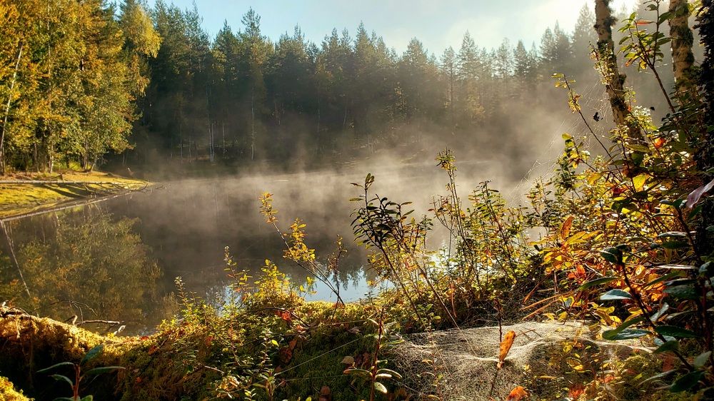 Photograph by Татьяна Шандромайло