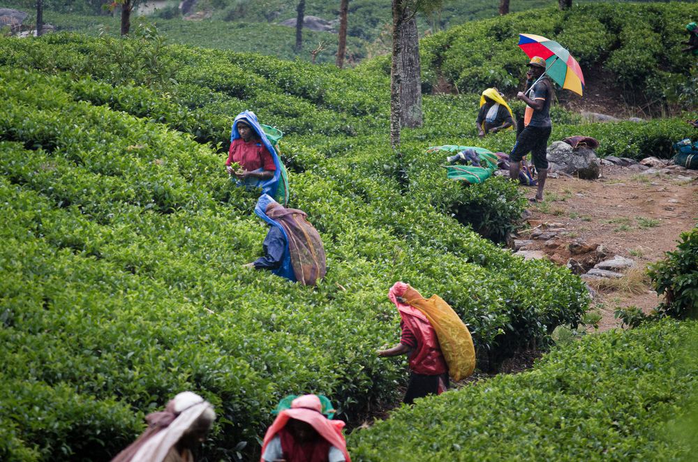 Photograph by Наталья Кокорина