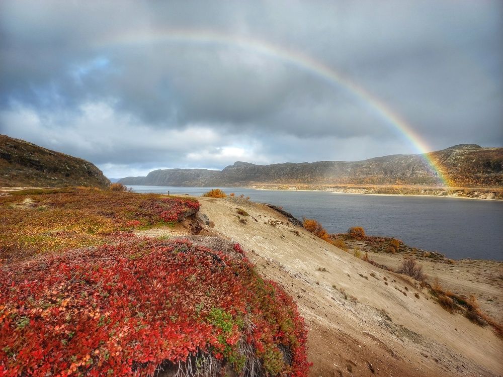 Photograph by 