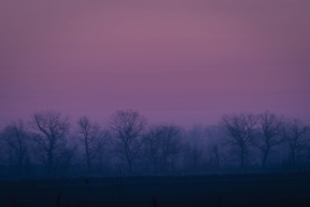 Photograph by Игорь Толкачев