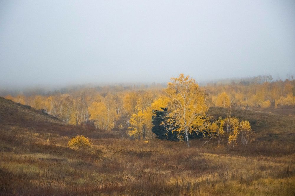 Photograph by Татьяна Пахатинская