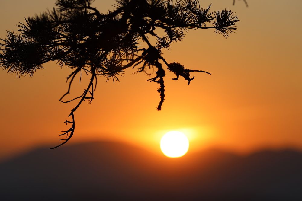 Фотография автора Павел Мартюшев
