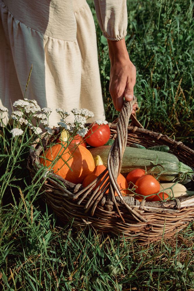 Фотография автора Елизавета Ковалева