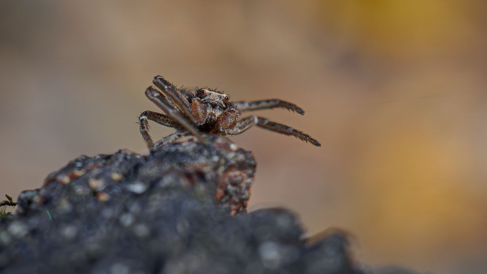 Photograph by Мичурин Андрей