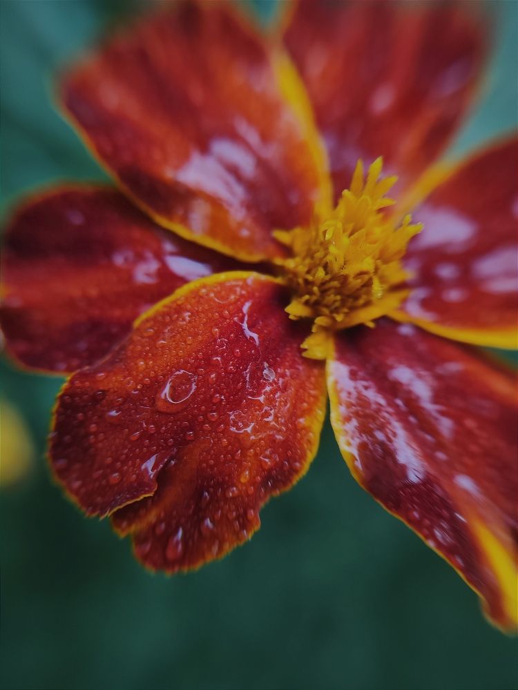 Photograph by Виктория