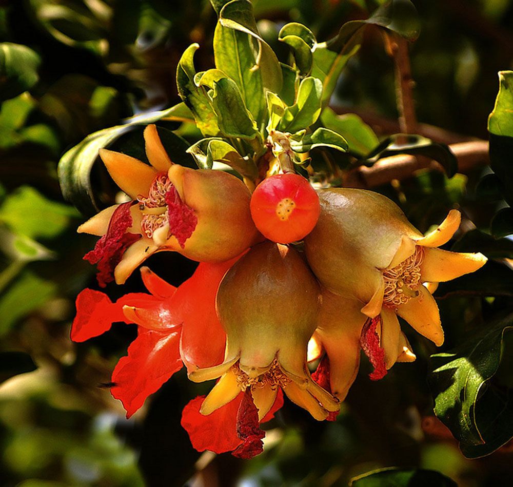 Photograph by Яков