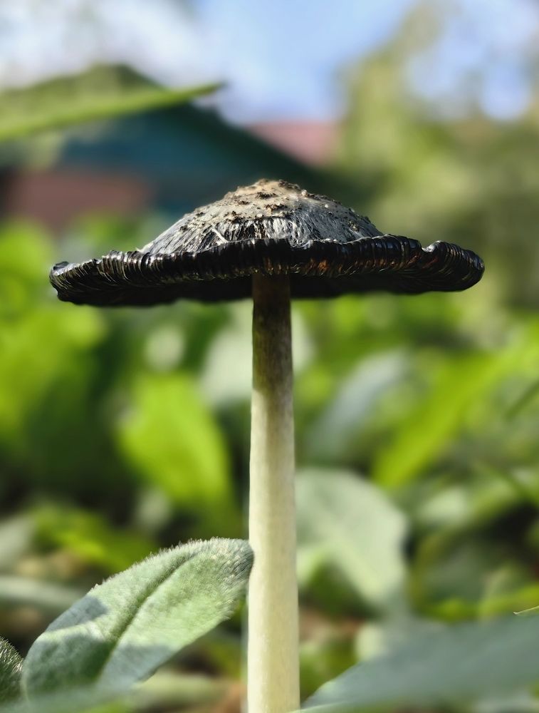 Photograph by Ева Мельникова