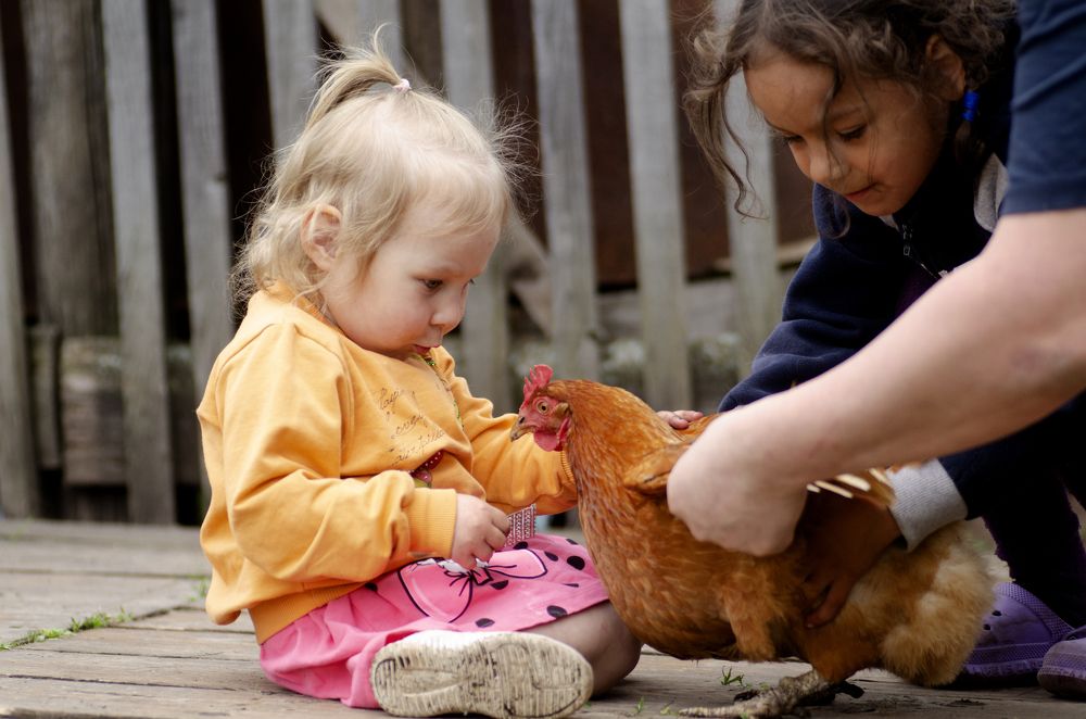 Photograph by Эльвира Быкова