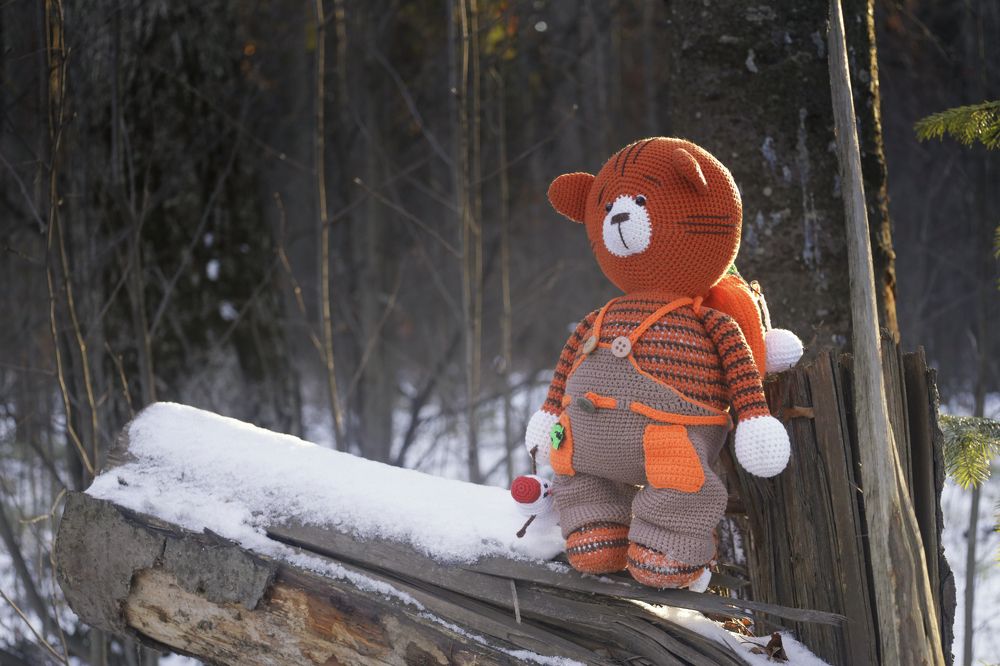 Фотография автора Павел Мартюшев