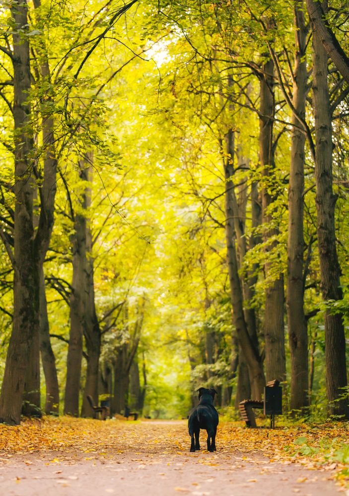 Photograph by Марина Суздаль