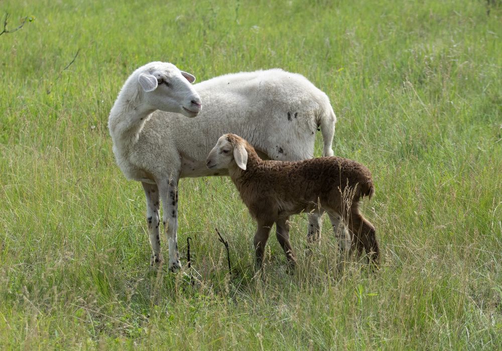 Photograph by Эльвира Быкова