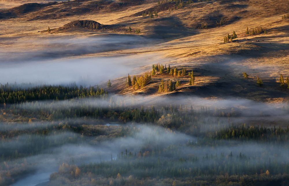 Photograph by Галина Хвостенко