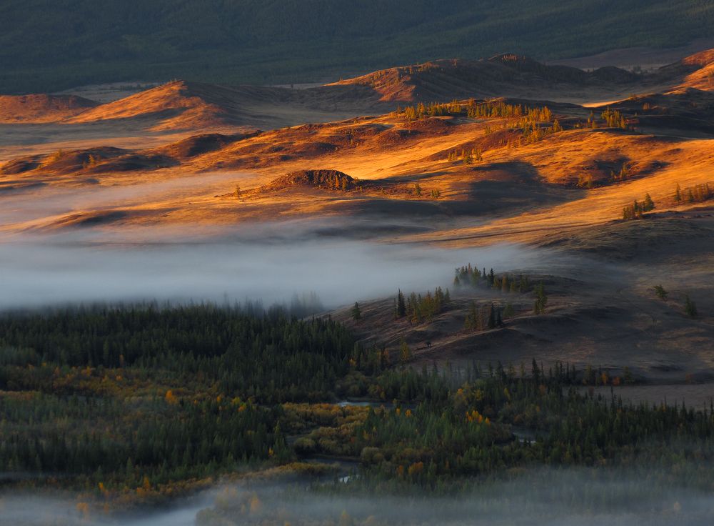 Photograph by Галина Хвостенко