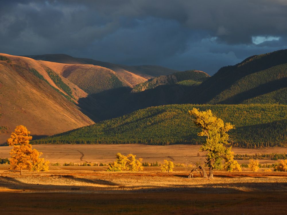 Photograph by Галина Хвостенко