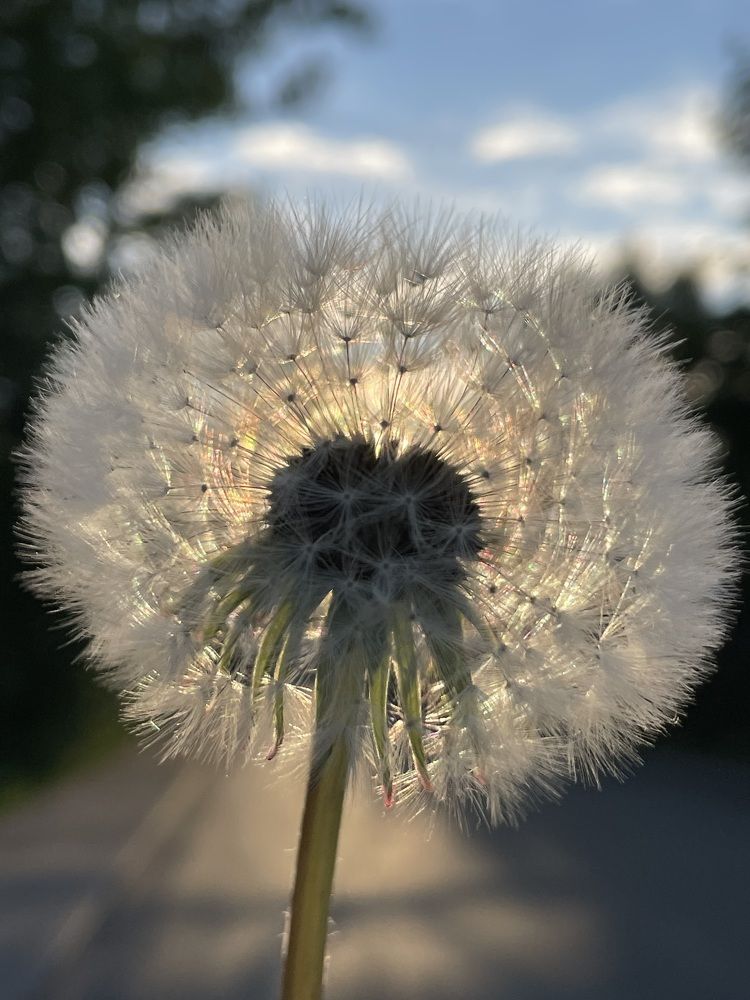 Фотография автора Юлия Недосекина