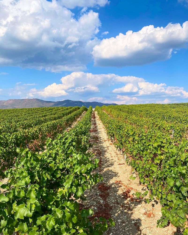 Photograph by Елена Изотова