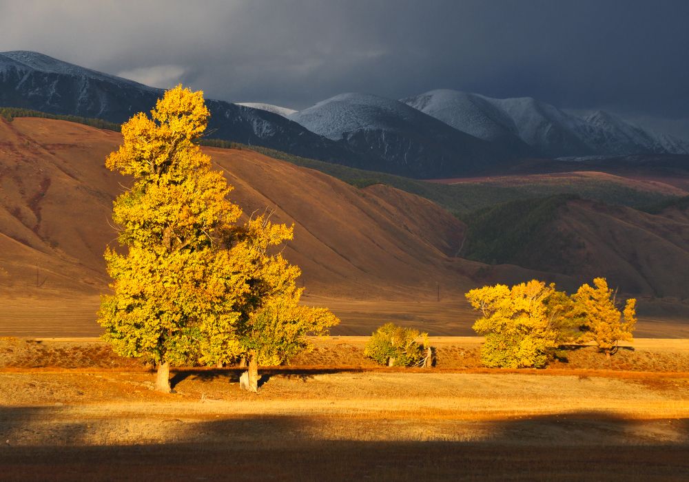 Photograph by Галина Хвостенко