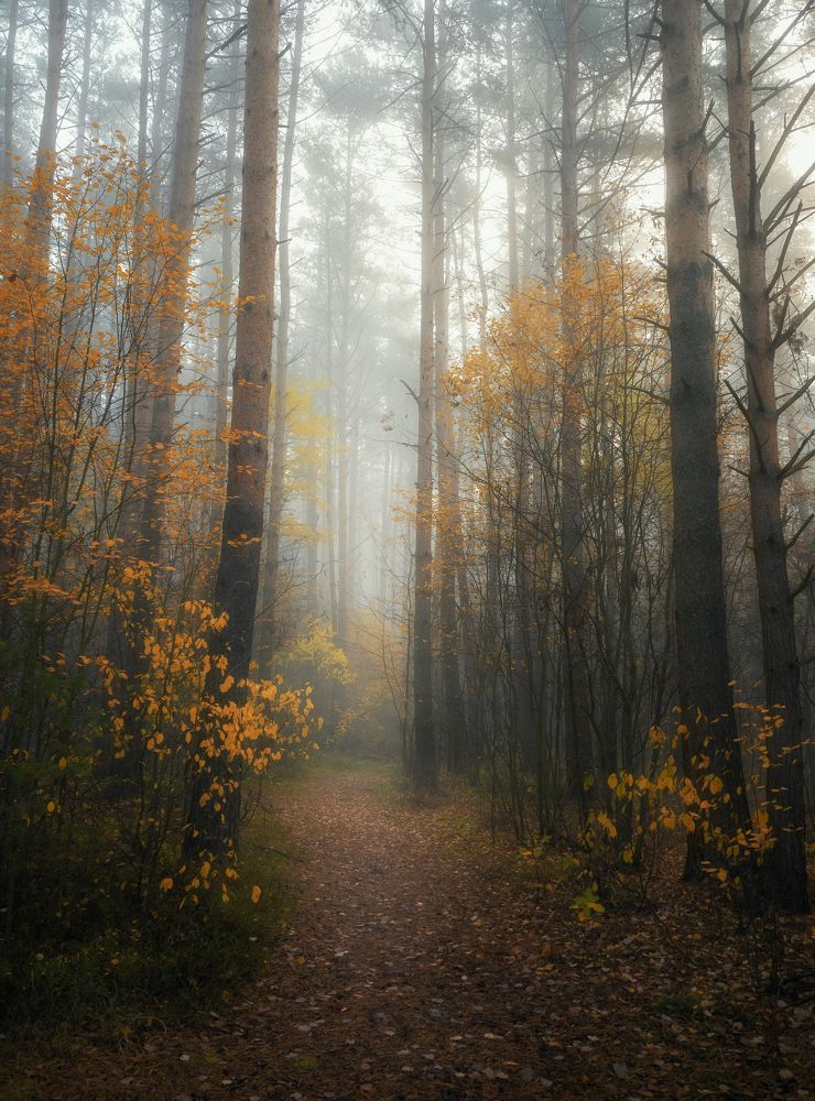 Photograph by Мозжухин Максим